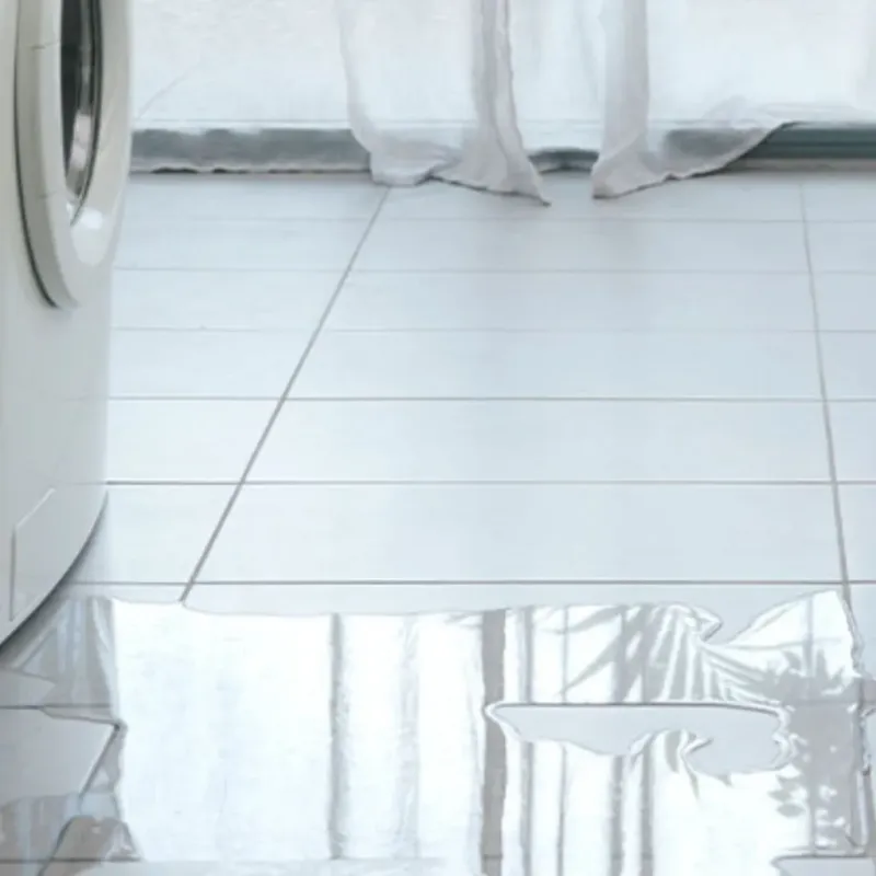 Appliance Leak Cleanup in Raymond, WA