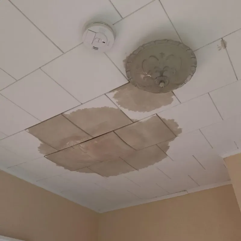 Ceiling Water Damage Repair in Raymond, WA